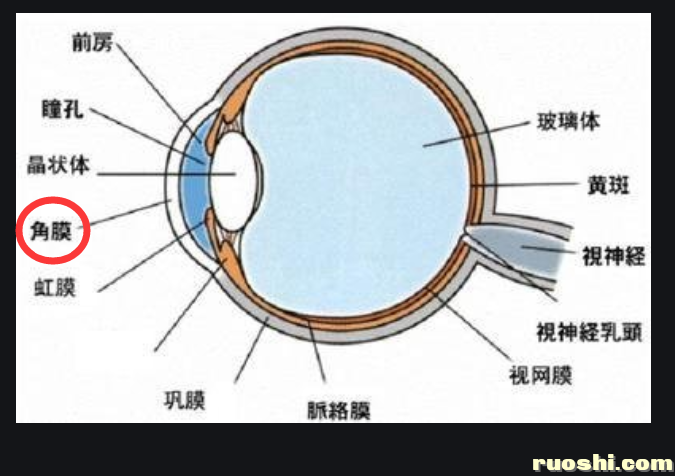 QQ图片20211213085529.png